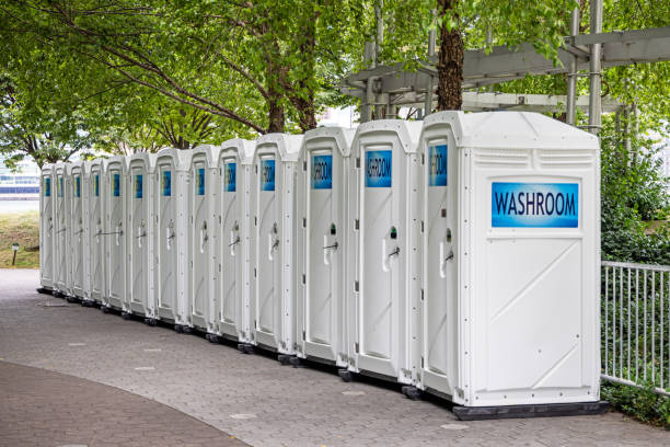 Portable Toilet Options We Offer in Watervliet, MI